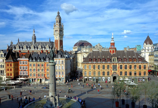 Grand Place à Lille, acheter un chariot de courses à Lille