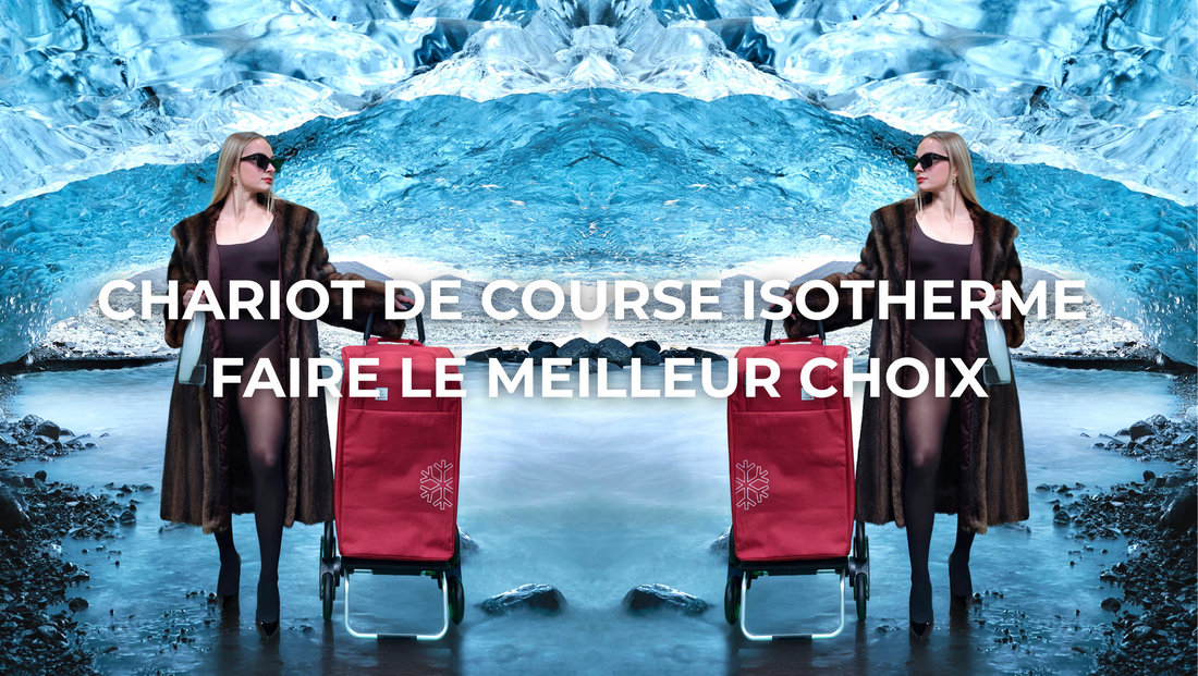 Chariot de course isotherme : le caddie pliable et solide pour faire vos courses sans effort