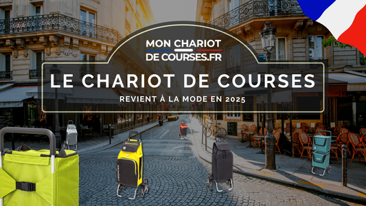 Chariot de courses dans Paris, La Mode en 2025