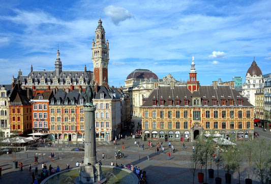 Grand Place à Lille, acheter un chariot de courses à Lille