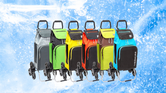 Chariot de courses isotherme : indispensable pour vos produits frais ? ❄️