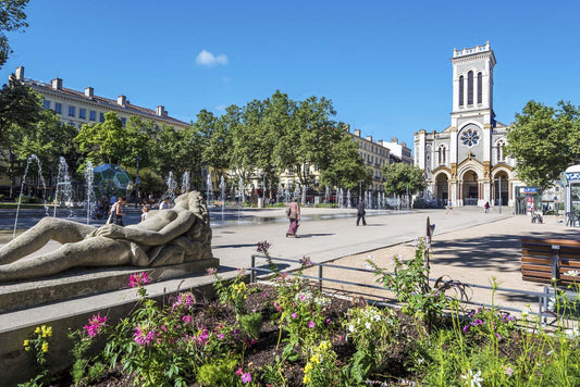 Cathédrale de Saint-Étienne, acheter un chariot de courses à Saint-Étienne