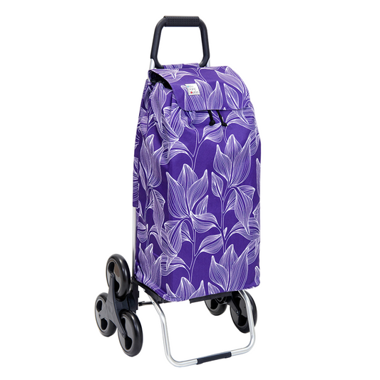 Chariot de courses - Carlux & Buggy