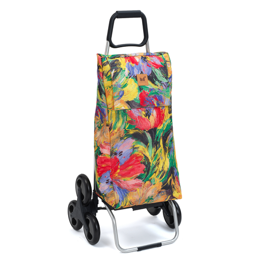 Chariot de courses - Carlux & Buggy
